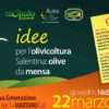 Martano: proposte nuove per una olivicoltura del Salento