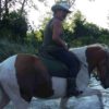 Laghi Alimini: al maneggio di Lucio per una straordinaria passeggiata a cavallo