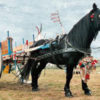 Martano: oggi si inaugura la Fiera della Candelora