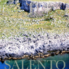 Zollino: presentazione del volume "Salento, anima di pietra"