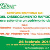 Martano: seminario su "Complesso del disseccamento rapido dell’ulivo – L’olivicoltura salentina un patrimonio da salvare"