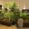 Calimera: il Museo di Storia naturale si arricchisce di un nuovo settore “Il Vivarium”