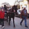 Il circolo amatori cavalli di Martano presenta: cavalli e cavalieri!