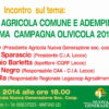 Martano: incontro pubblico su "Nuova Pac" e adempimenti per la campagna olivicola