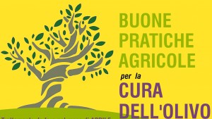 Zollino informa sulle buone pratiche per la cura dell’olivo