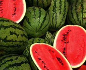 Caldo: crac angurie e meloni distrutti per prezzi bassi