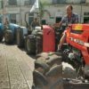 Marcia dei trattori blocca il traffico: protesta il Comitato Olivicoltori Salentini