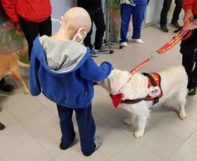 “Cani Eroi” fanno una sorpresa ai piccoli pazienti dell’Ospedale di Lecce