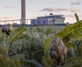 ‘Vento di soave’: il film di Corrado Punzi racconta le centrali di Brindisi e i danni ambientali