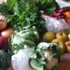 La svolta salutista in Puglia, tutti mangiano più frutta e verdura. Boom del BIO +18%